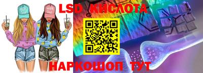кокс Кингисепп