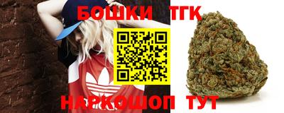 кокс Кингисепп