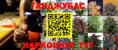 кокс Кингисепп