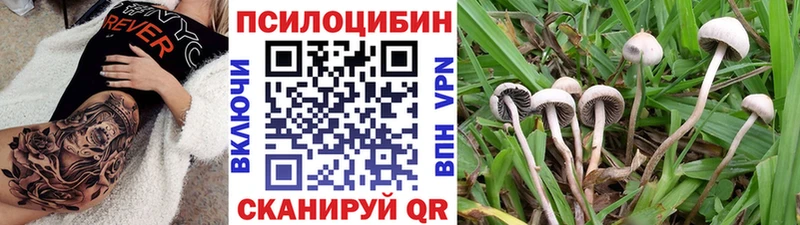 Псилоцибиновые грибы GOLDEN TEACHER Дзержинский
