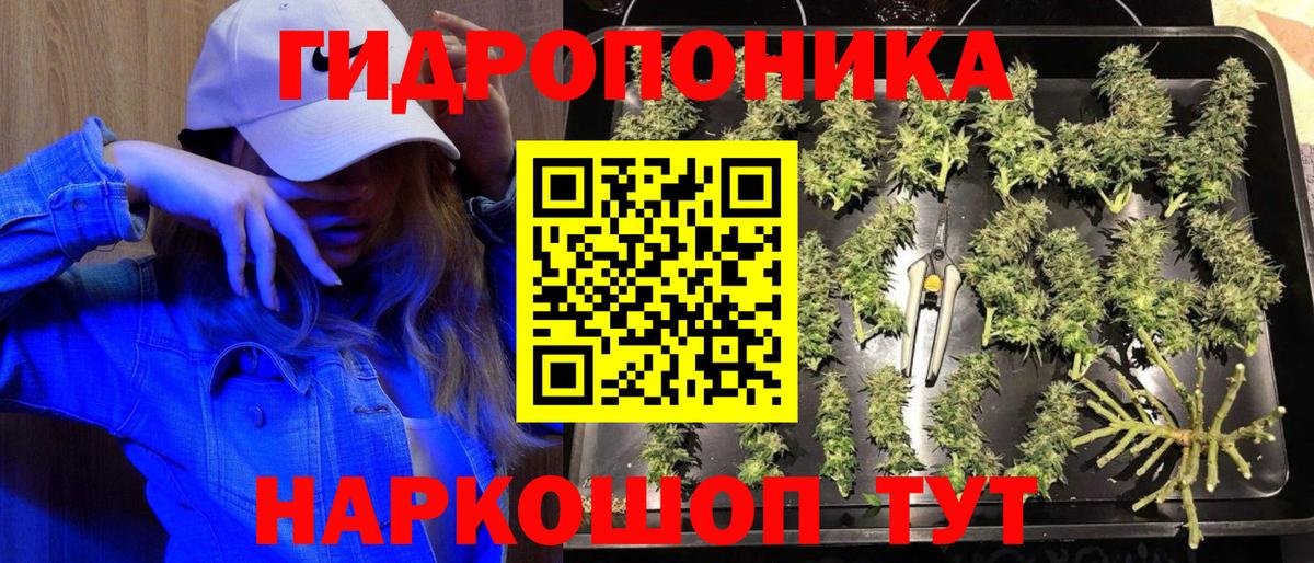 Конопля гибрид Дзержинский